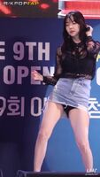 Dal Shabet Serri - Purposely flashing her skirt while telling fans she needs a D badly & acting like nothing occur