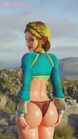 Zelda - Butt of the Wild