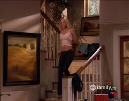 Kaley Cuoco sweet plot in '8 Simple Rules'