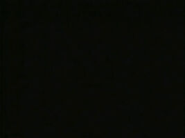 Lorissa McComas- Live Nude Shakespeare