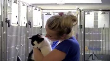 Lucy at a cat adoption center. She's such a sweetheart!!