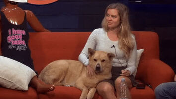 Tight hot sexy blonde married babe Elyse Willems desperately wants to immorally fuck her beloved dog Benson. Depravedly wanting to feel her extremely tight wet pussy & ass, get intensely filled up with his tick warm dog-juices & cum.