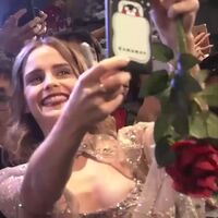 Emma Watson nipslip during a selfie with a fan