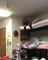 When bunk beds are hard mode