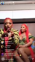 Megan Thee Stallion and Nicki Minaj