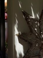Californication S06E05 Meghan Falcone as Shari ENHANCED 1080p